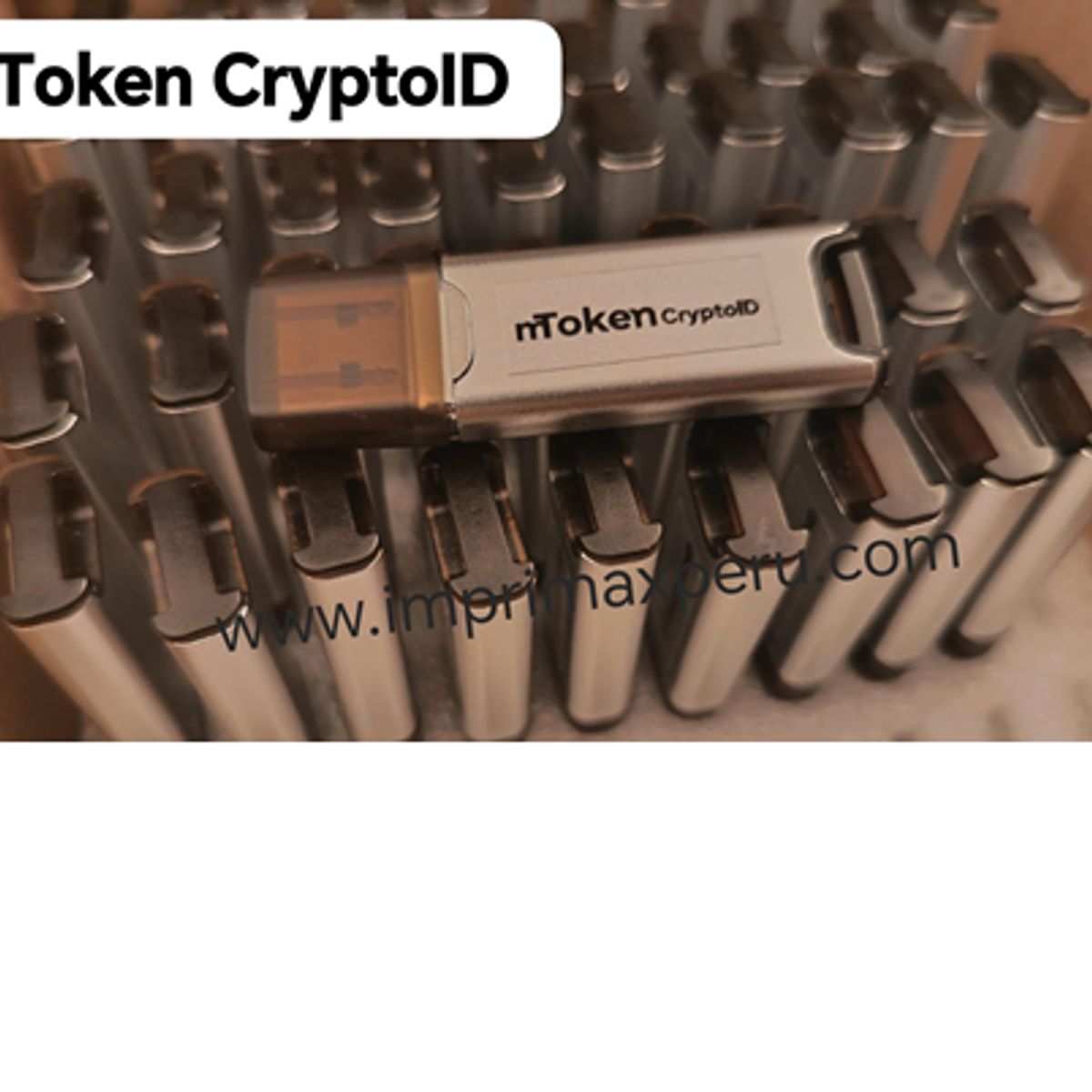 GENERICO - TOKEN CRIPTOGRAFICO LONGMAI MTOKEN CRYPTOID PLATEADO