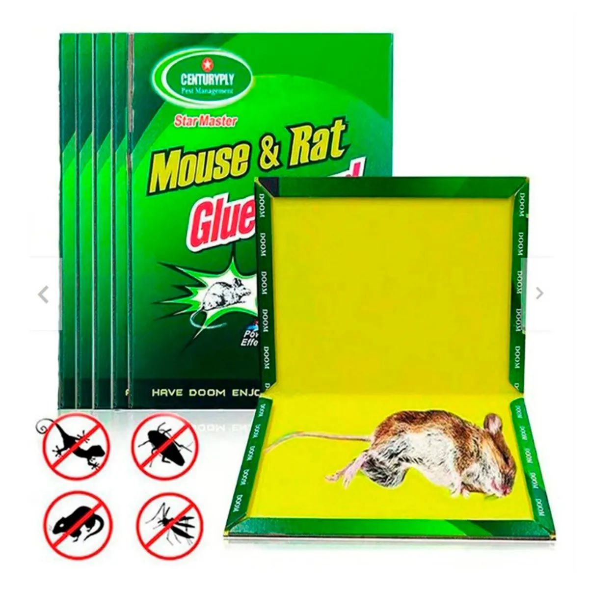 GENERICO - Trampa Adhesiva para Ratas y Ratones  Pegamento Extra Fuerte X5