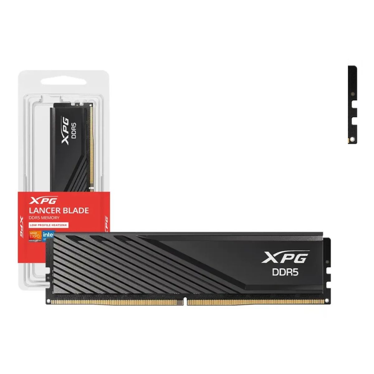ADATA - MEMORIA RAM 16GB ADATA XPG DDR5 5600MHZ PARA PC