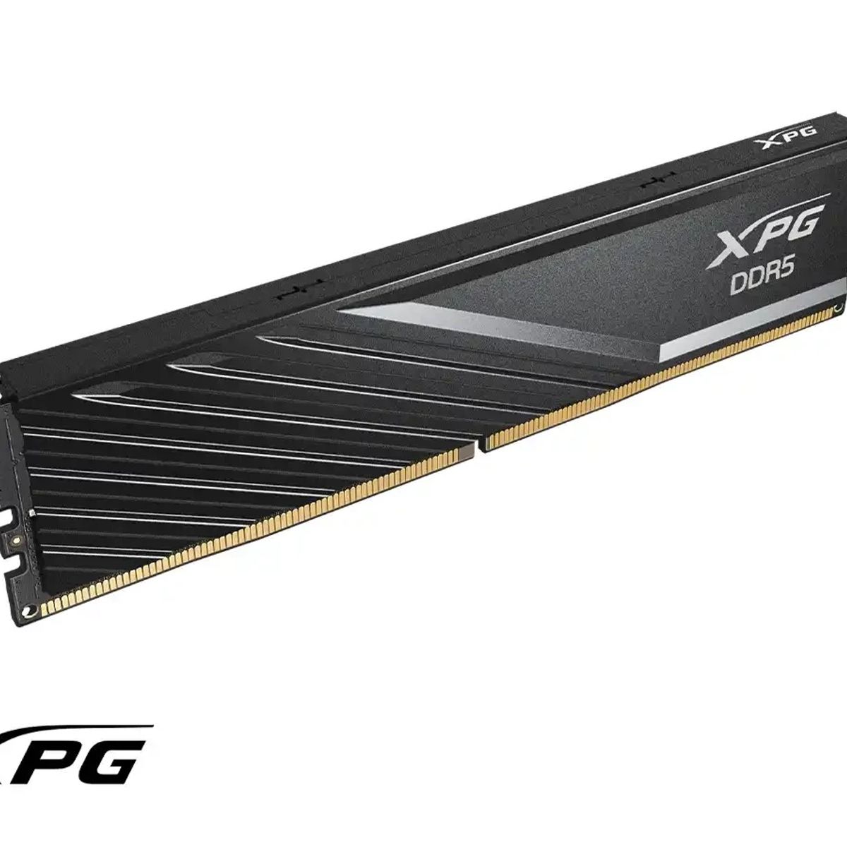 ADATA - MEMORIA RAM 16GB ADATA XPG DDR5 5600MHZ PARA PC