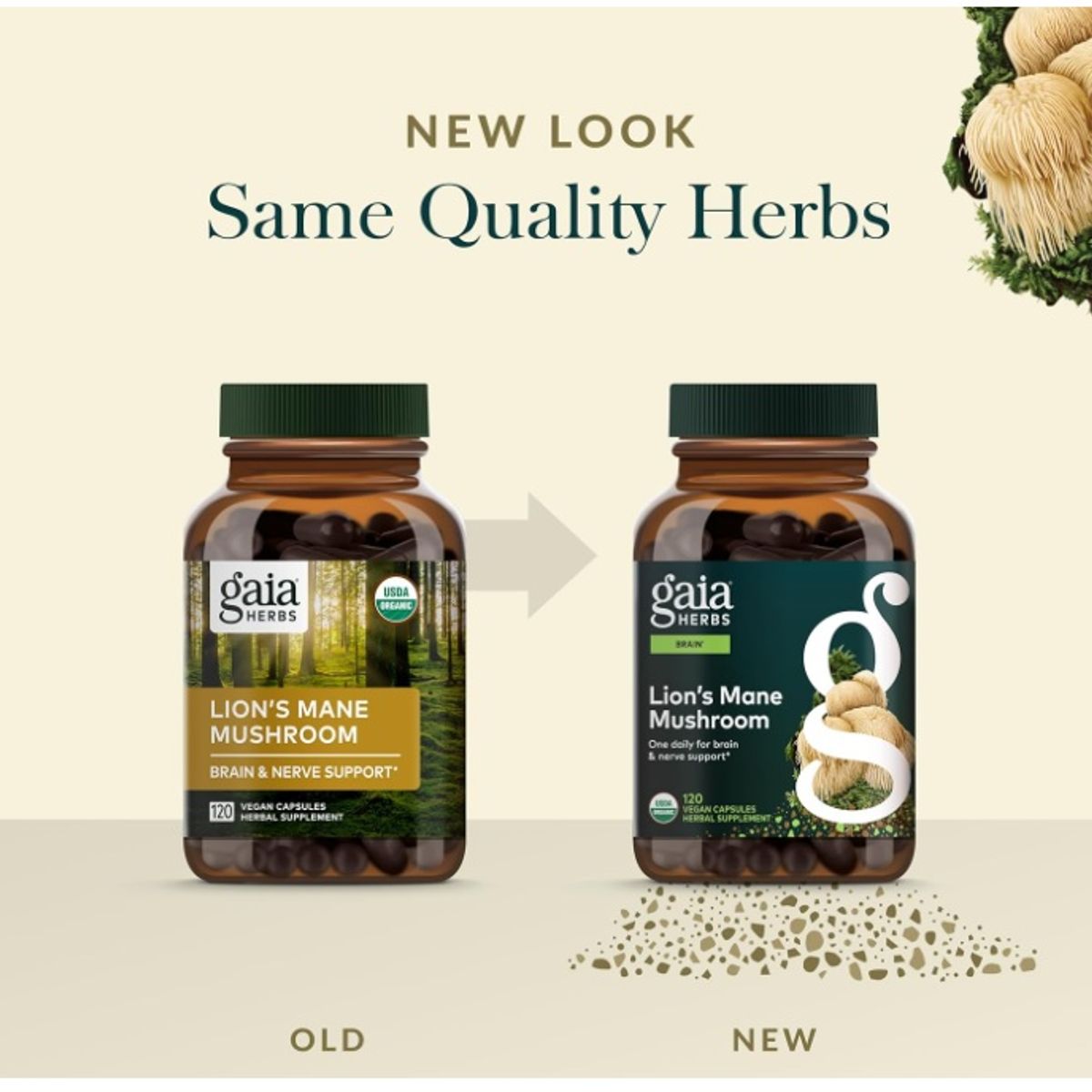 GAIA - Hongo Melena De León Gaia Herbs - 120 Capsulas