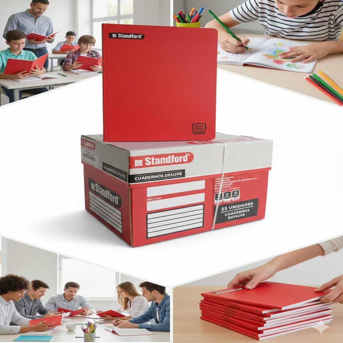STANFORD - Caja de  Cuadernos Rayado  Standford Notebook – 25 Unidades