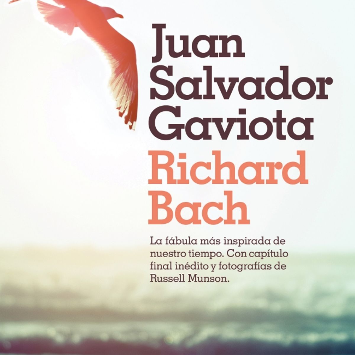 PENGUIN RANDOM HOUSE - Juan salvador gaviota- Bach Richard