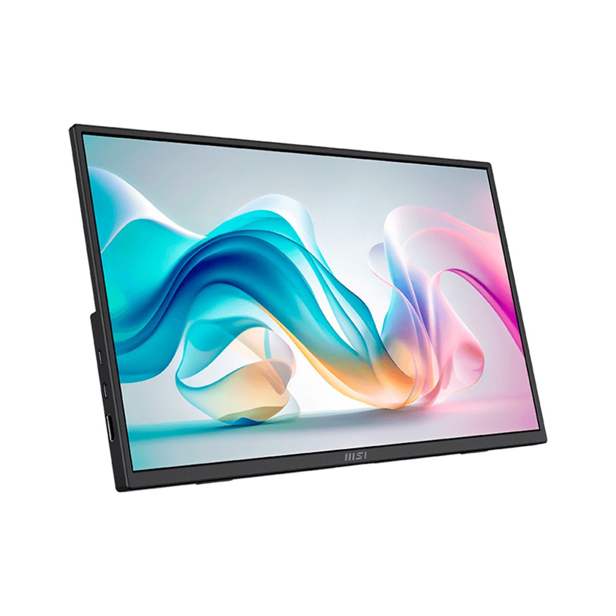 MSI - Monitor Portatil Plano MSI PRO MP165 E6 156 FHDIPSHDMI x1Tipo-C x2