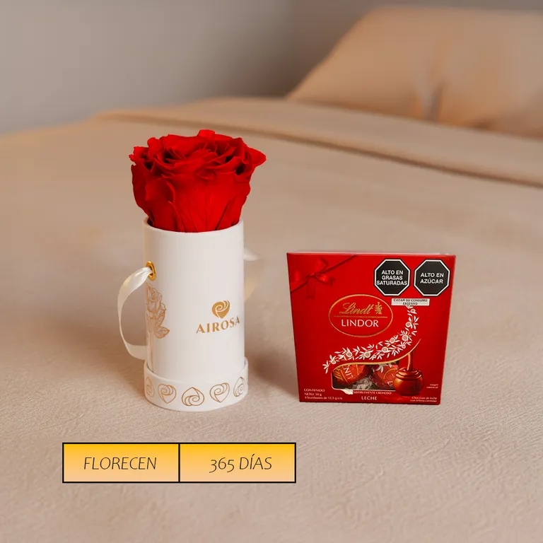 Rosa Preservada Mini AIROSA - Box Cilíndrico + Chocolates Lindt x4 ...