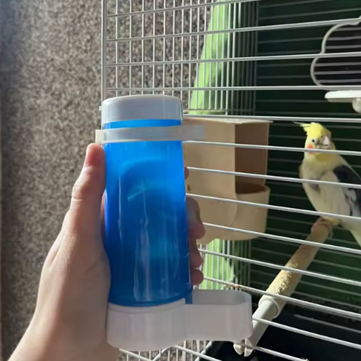 GENERICO - DISPENSADOR DE COMIDA PARA AVES