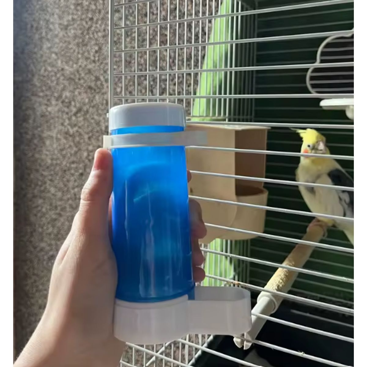 GENERICO - DISPENSADOR DE COMIDA PARA AVES