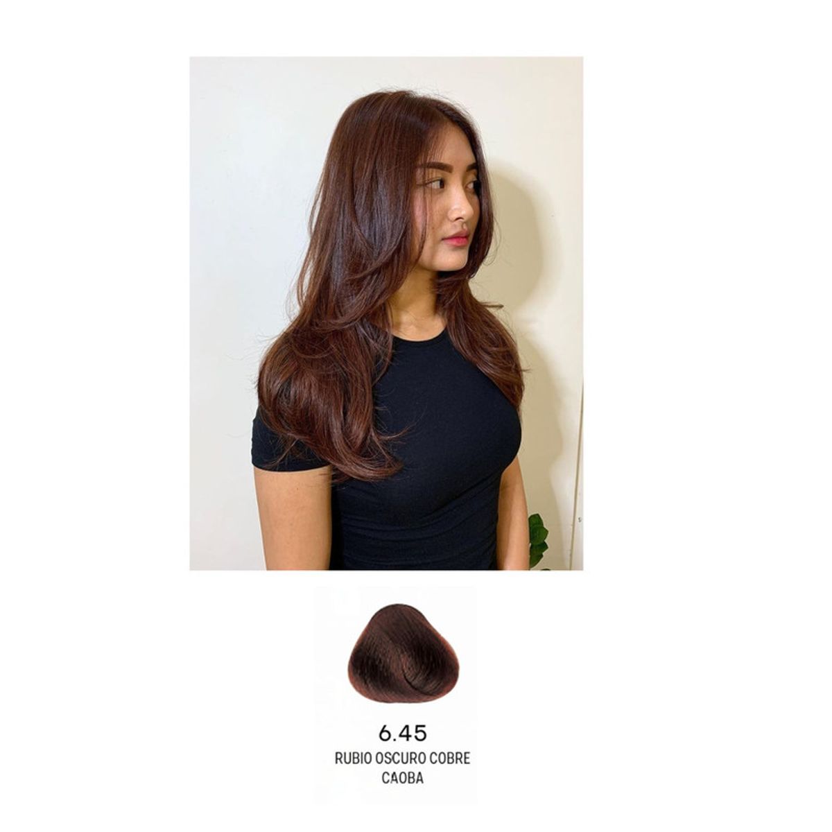 GENERICO - TINTE EVOLUTION OF THE COLOR 645 RUBIO OSCURO COBRIZO CAOBA  60 ML