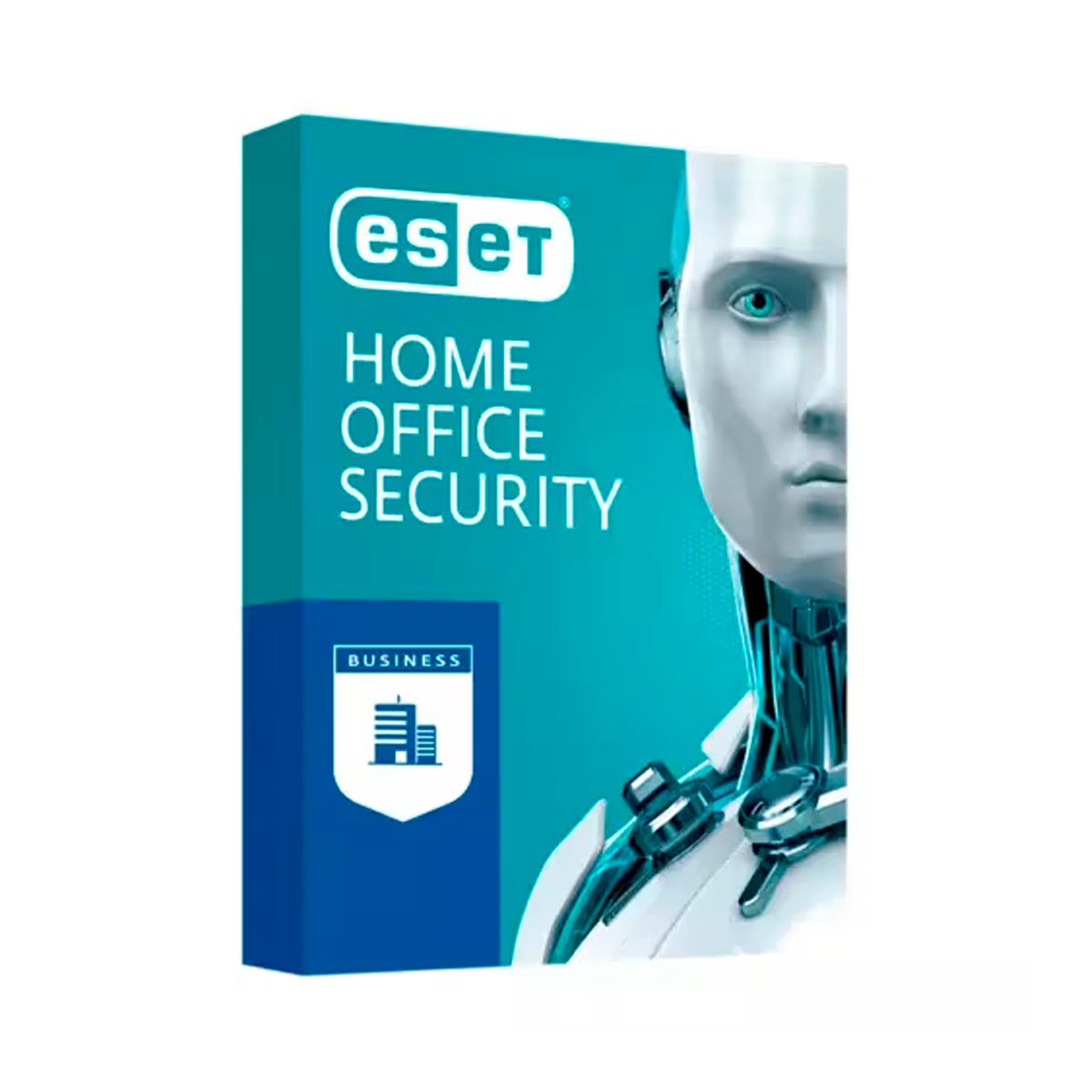 ESET - ANTIVIRUS NOD32 HOME OFFICE SECURITY X 10-V2024