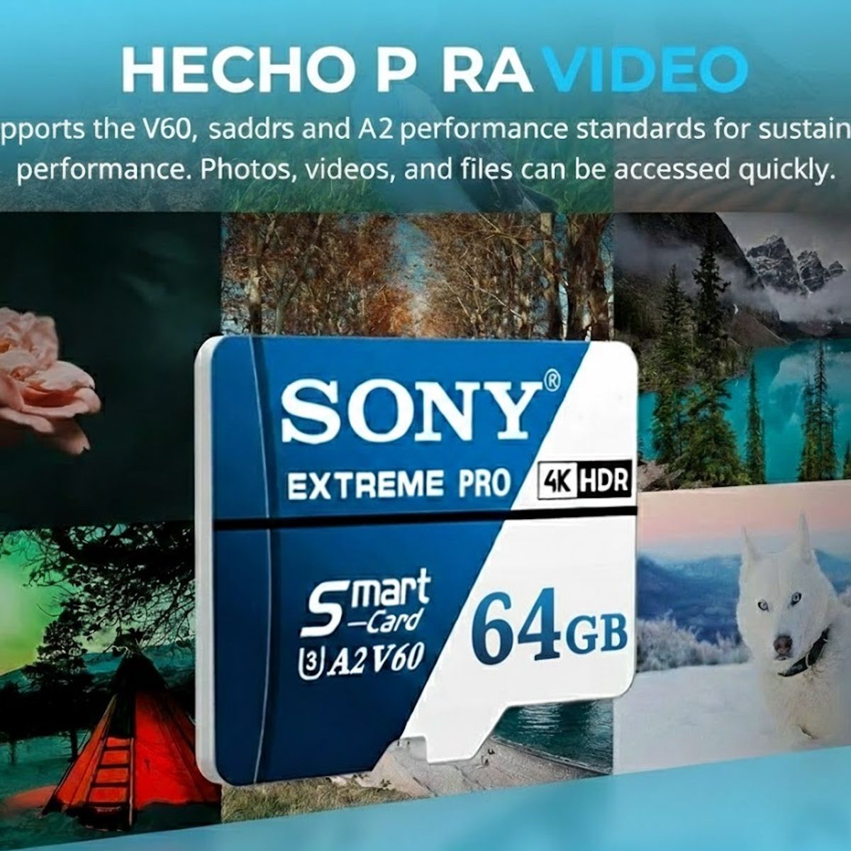 GENERICO - Memoria MicroSD Sony 64GB Clase 10 Tarjeta de Alta Velocidad 70MB/s con Adaptador SD