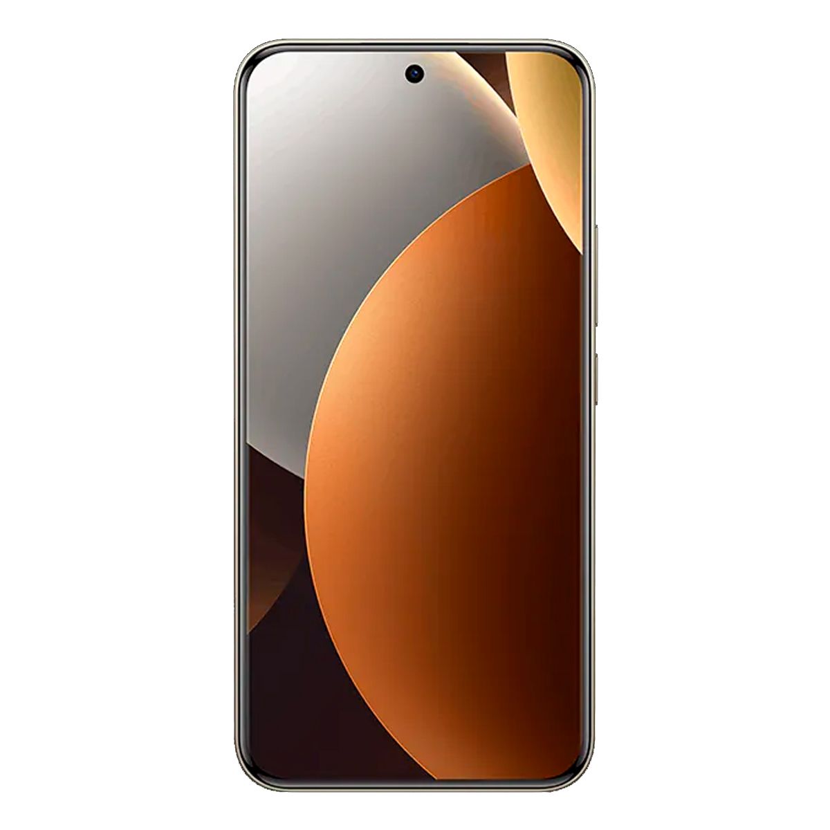 XIAOMI - NOTE 15 PRO 4G 8GB 256GB GRIS TITANIO