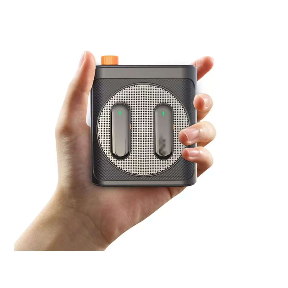 SEISA - Amplificador de Voz Portátil con Doble Micrófono Inalámbrico y Bluetooth