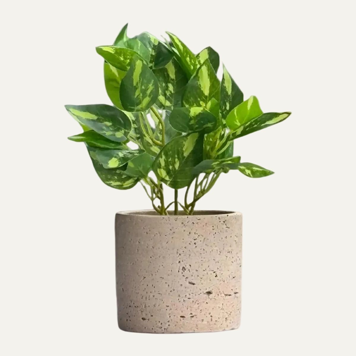 LAR DANIELSEN - Planta artificial con macetero crema - 28 cm