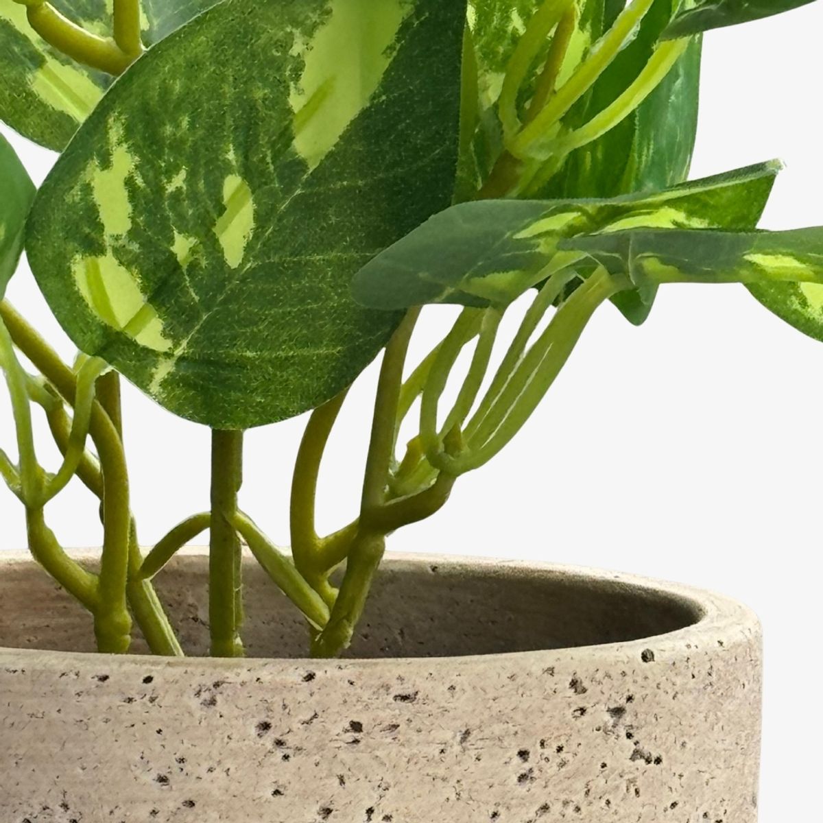 LAR DANIELSEN - Planta artificial con macetero crema - 28 cm