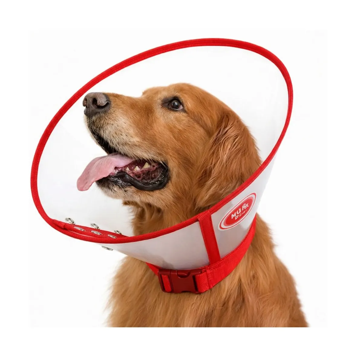 GENERICO - Collar isabelino tipo cono para mascotas perros y gatos rojo talla S