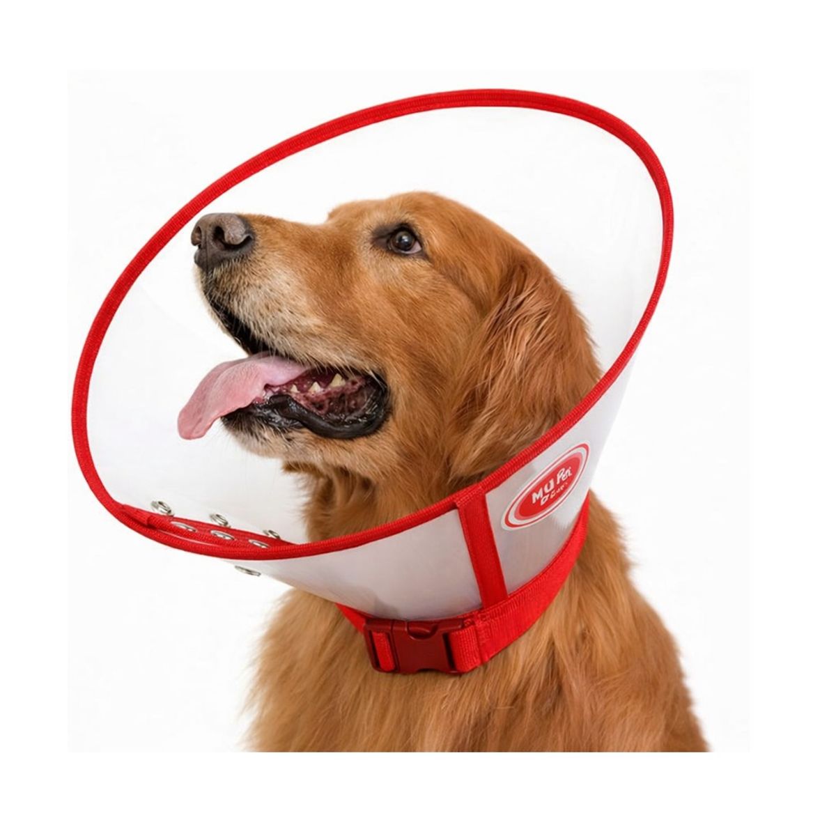 GENERICO - Collar isabelino tipo cono para mascotas perros y gatos rojo talla S