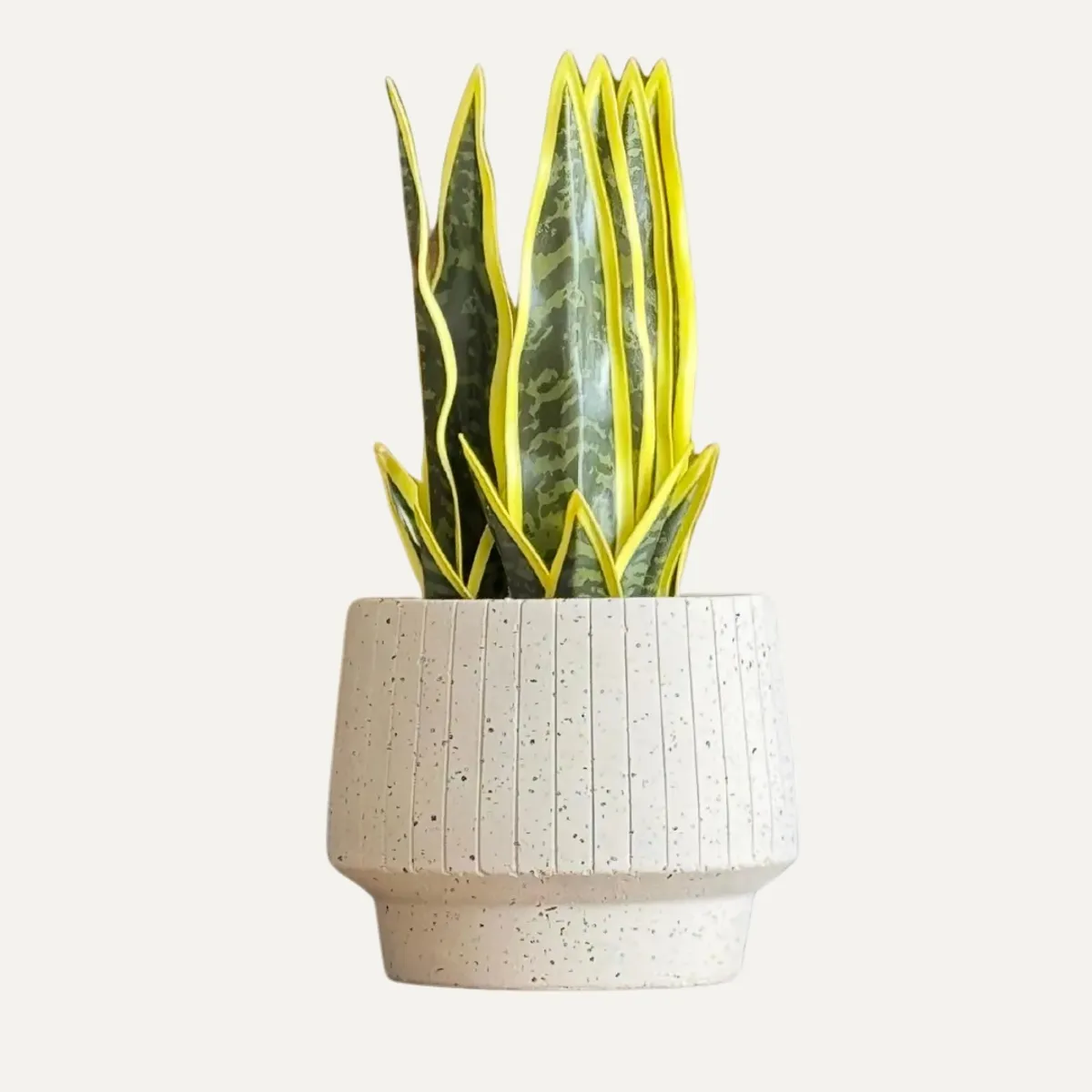 LAR DANIELSEN - Planta artificial artesanal  con macetero tipo acampanado- Lengua de suegra 28 cm