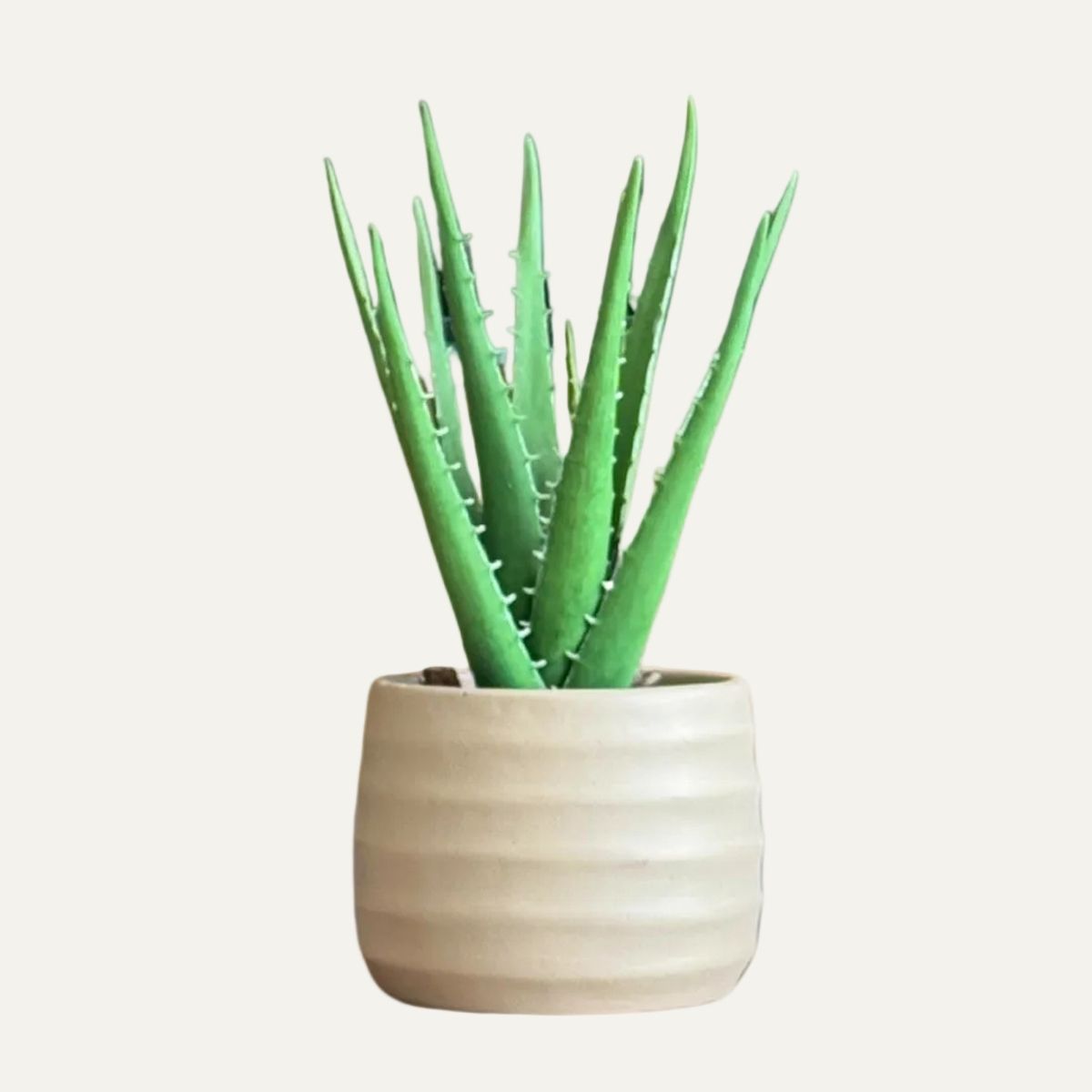 LAR DANIELSEN - Planta artificial con macetero color arena - Sábila 36 cm