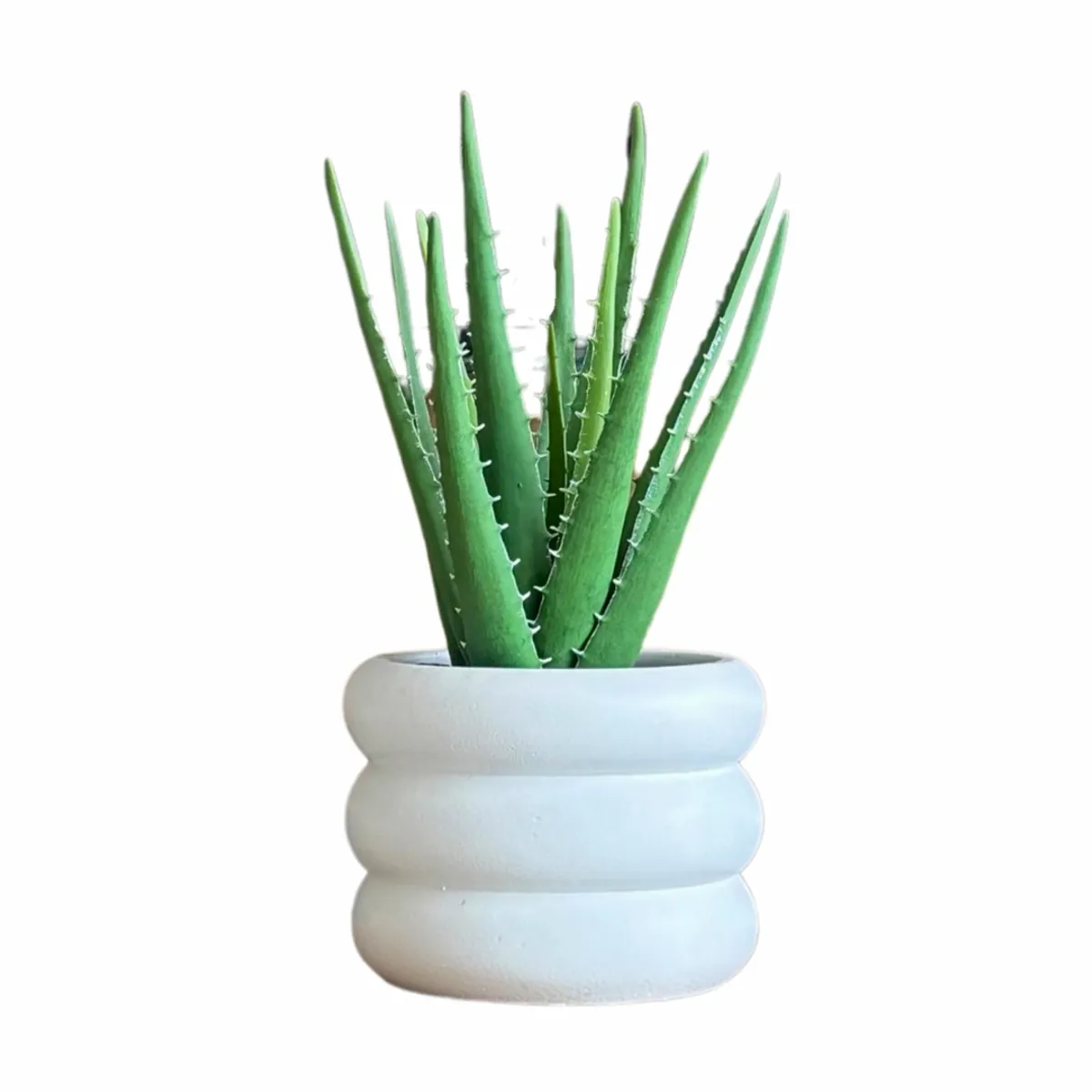 LAR DANIELSEN - Planta artificial con macetero anillado blanco - Sábila 36 cm.