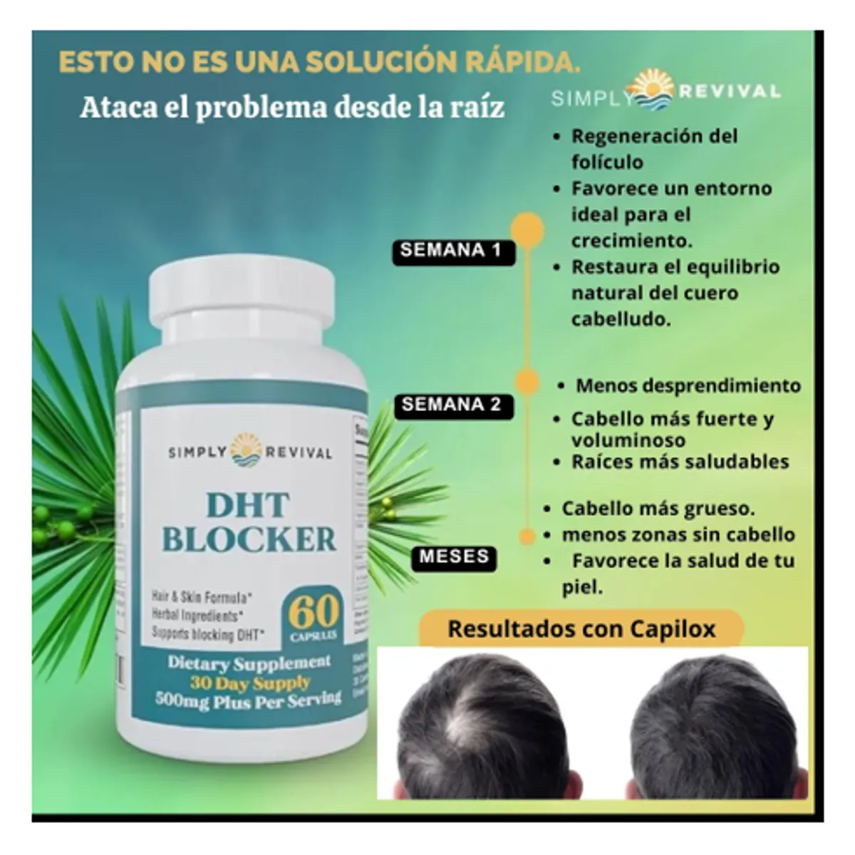GENERICO - DHT BLOCKER  SALUD CAPILAR Y EQUILIBRIO HORMONAL
