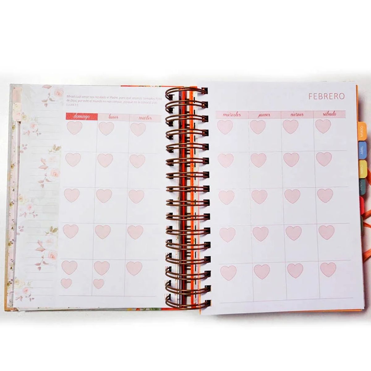 GENERICO - Agenda Devocional Nuestro Pan Diario Mi Plan con Dios