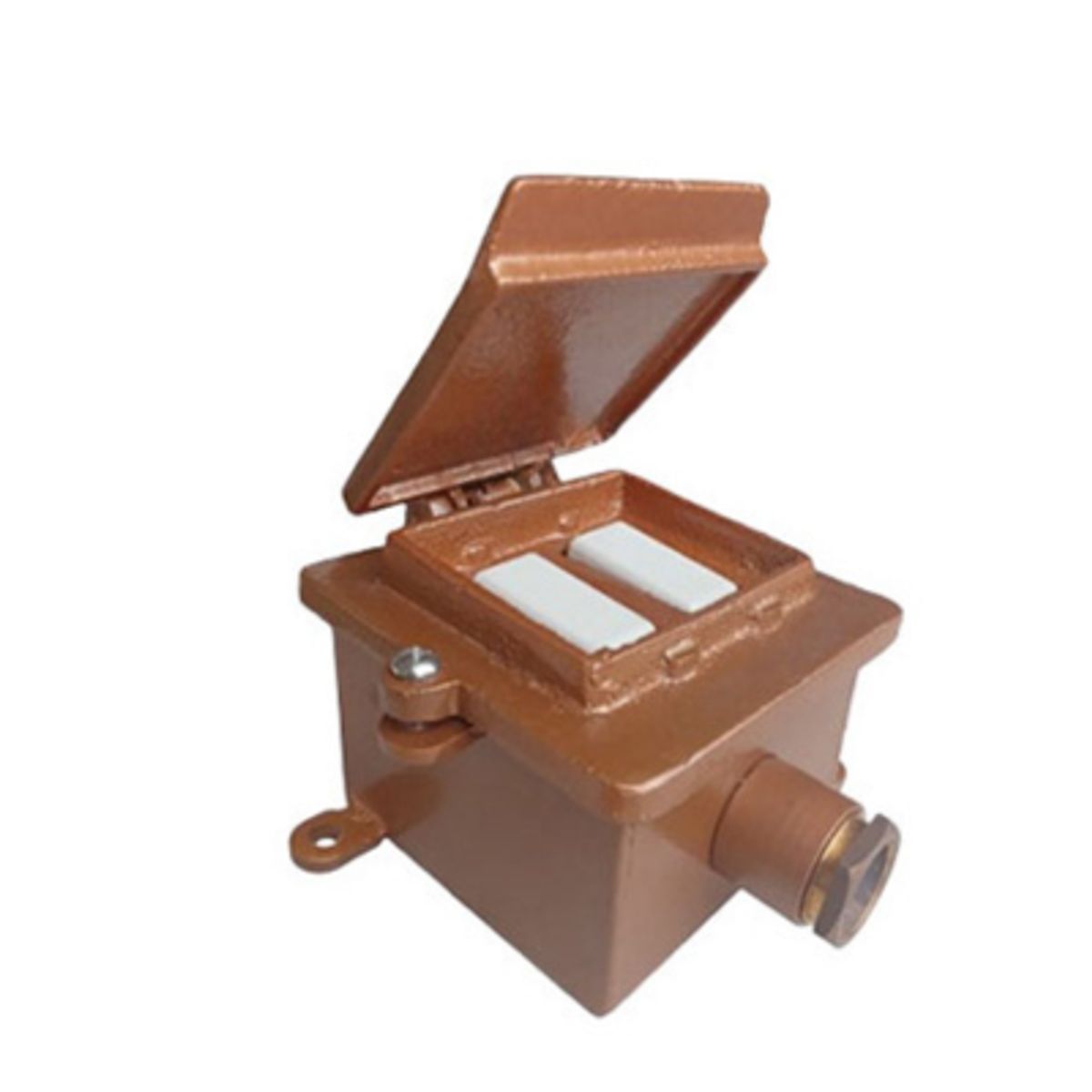 A IBAR - INTERRUPTOR INDUSTRIAL CTAPA DOBLE 15A BRONCE