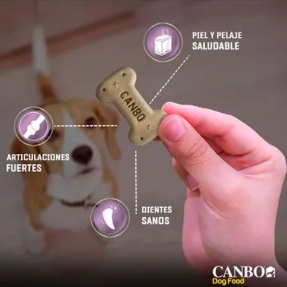 GENERICO - Canbo Biscuits Cachorros  Snack desde Cachorros - 200 gr