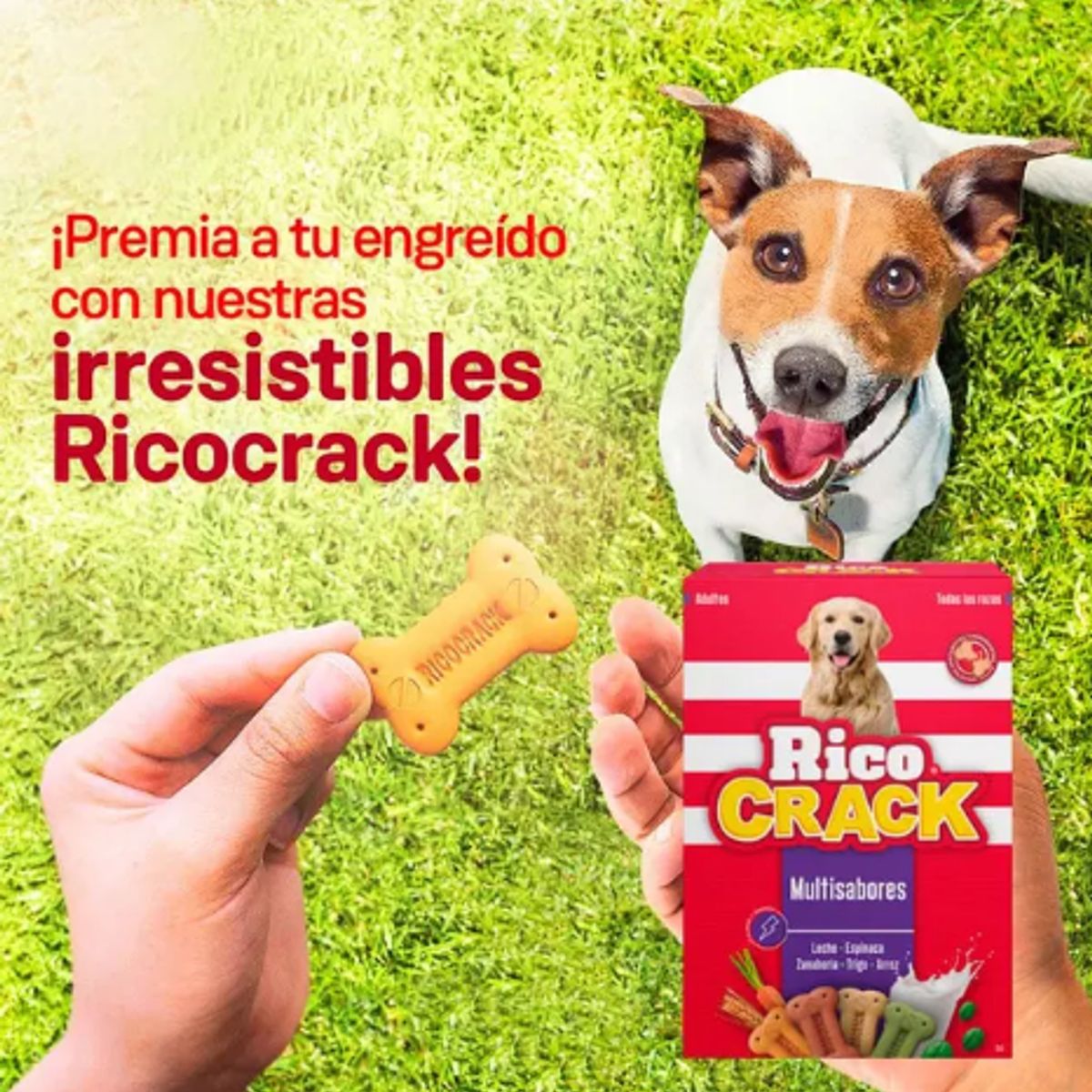 GENERICO - Ricocrack Multisabores  Snack Crocante para Perros - 200 gr