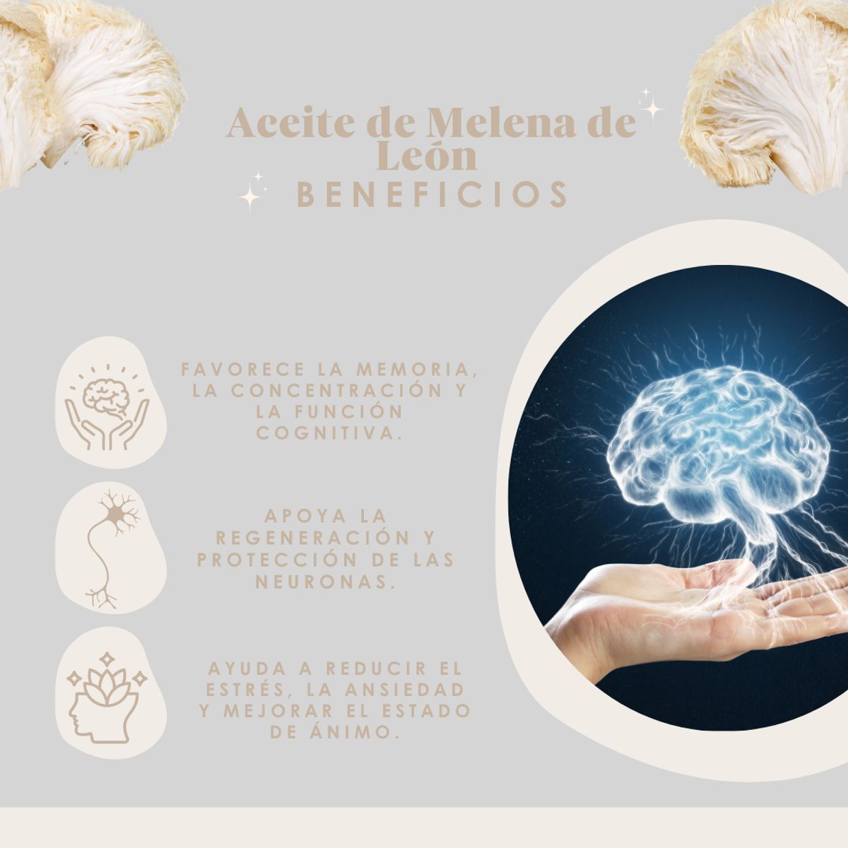 DINOA - Aceite de Melena de León 30ml Taski  /Memoria  /Foco y Bienestar