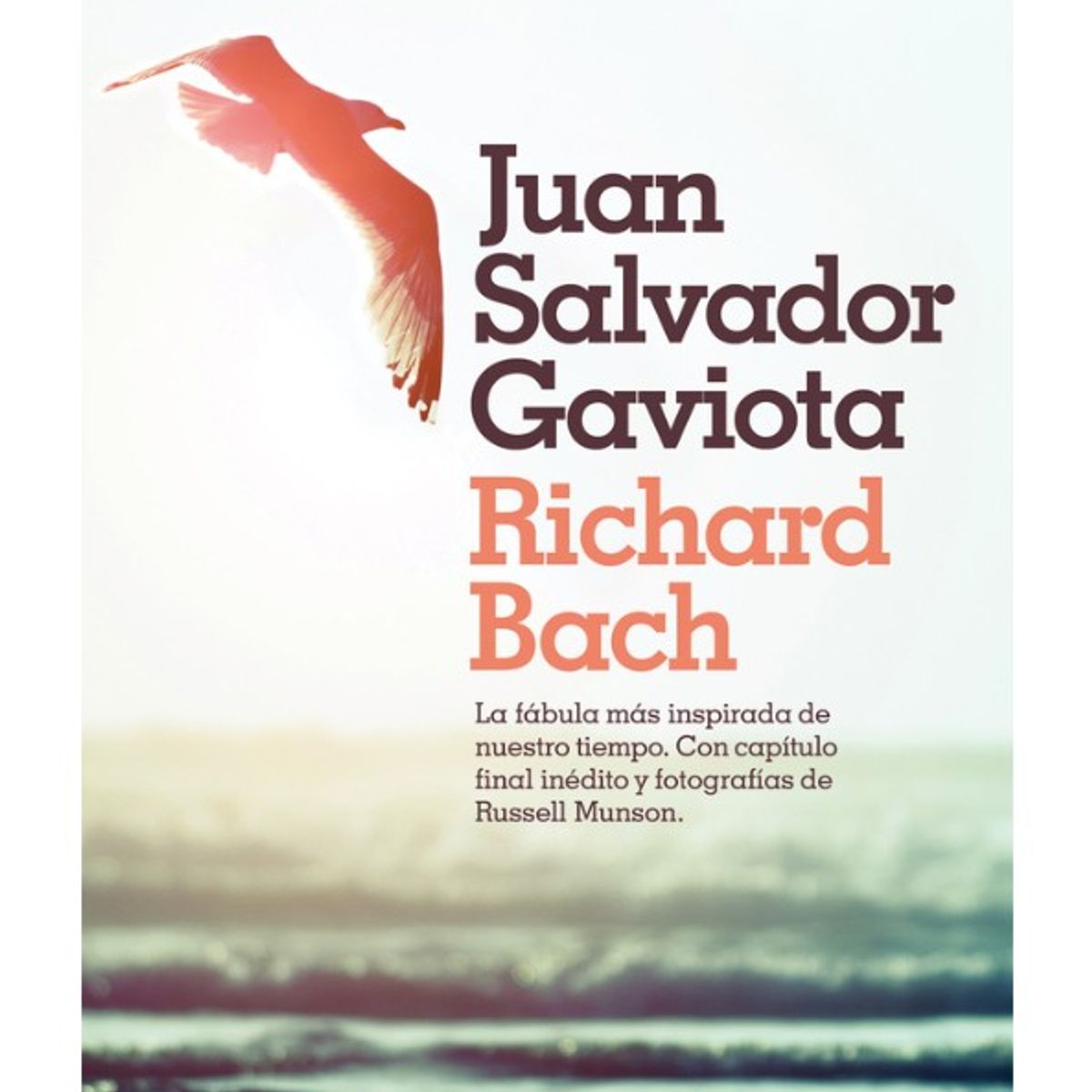 VERGARA - JUAN SALVADOR GAVIOTA VERGARA - Richard Bach