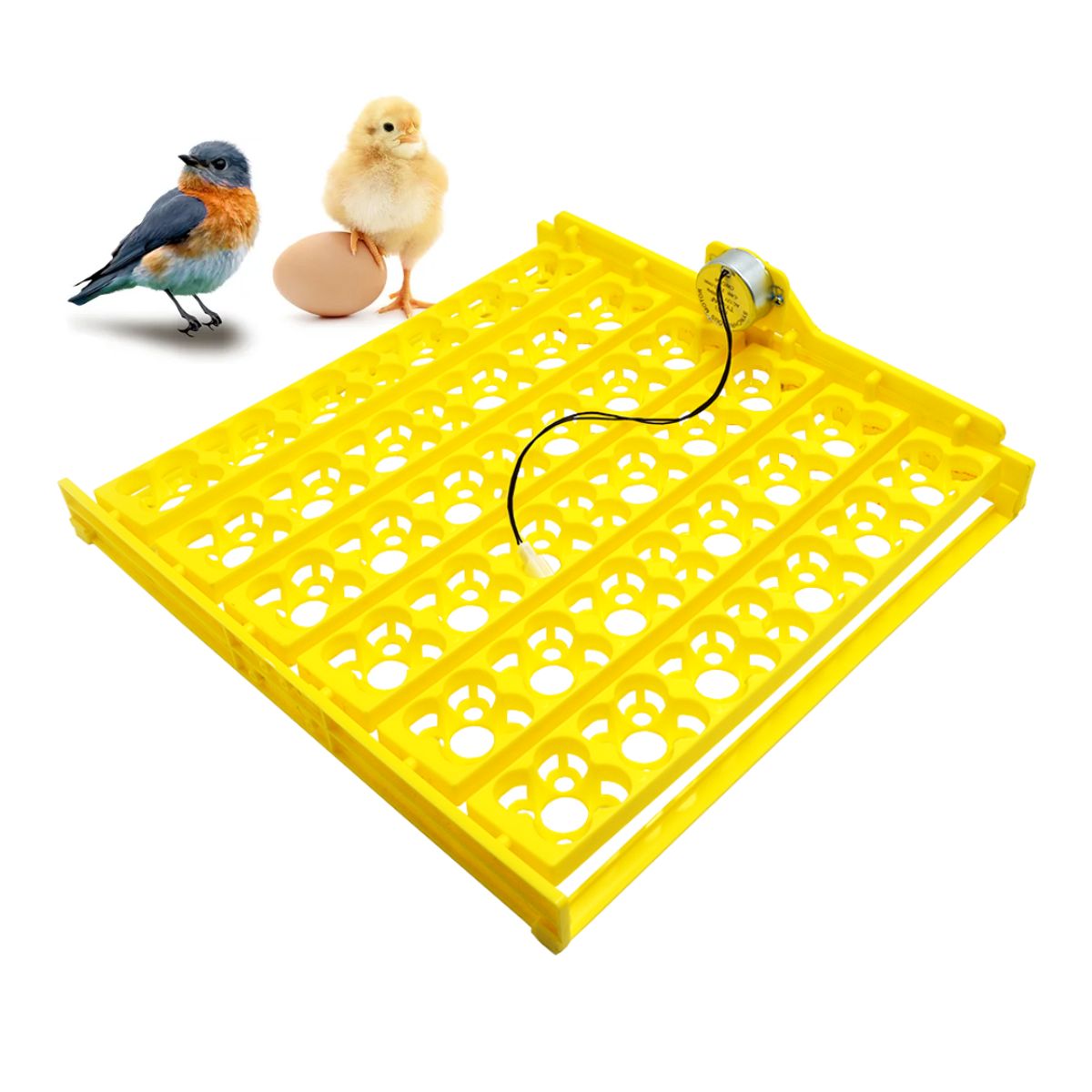 GENERICO - BANDEJA DE ROTACION PARA INCUBADORA 56 HUEVOS 220V