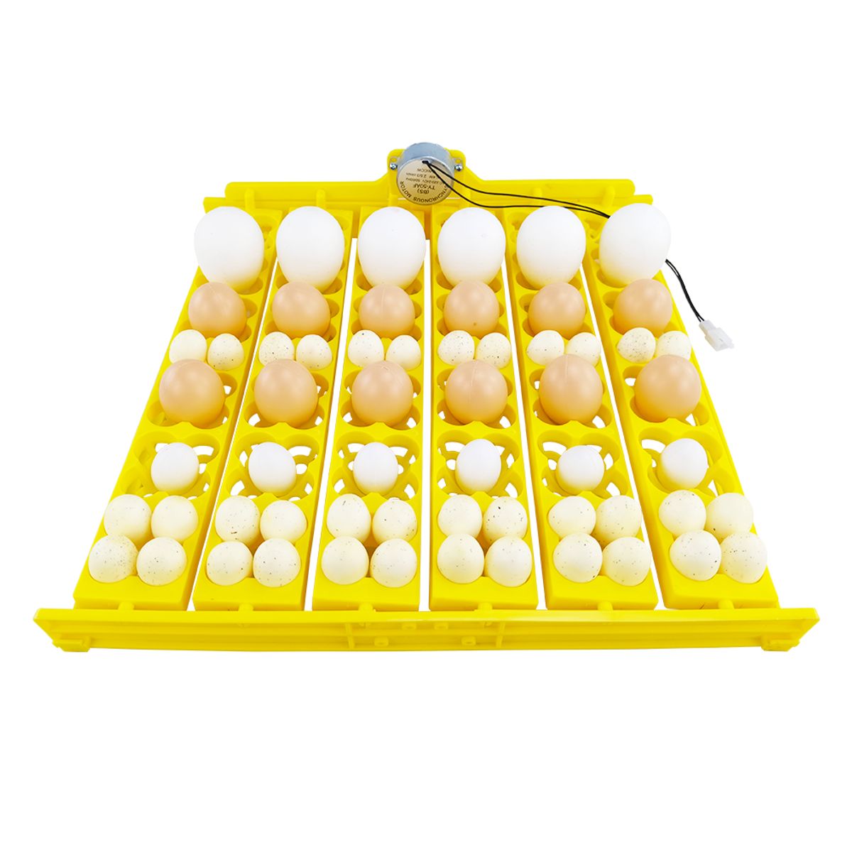 GENERICO - BANDEJA DE ROTACION PARA INCUBADORA 56 HUEVOS 220V