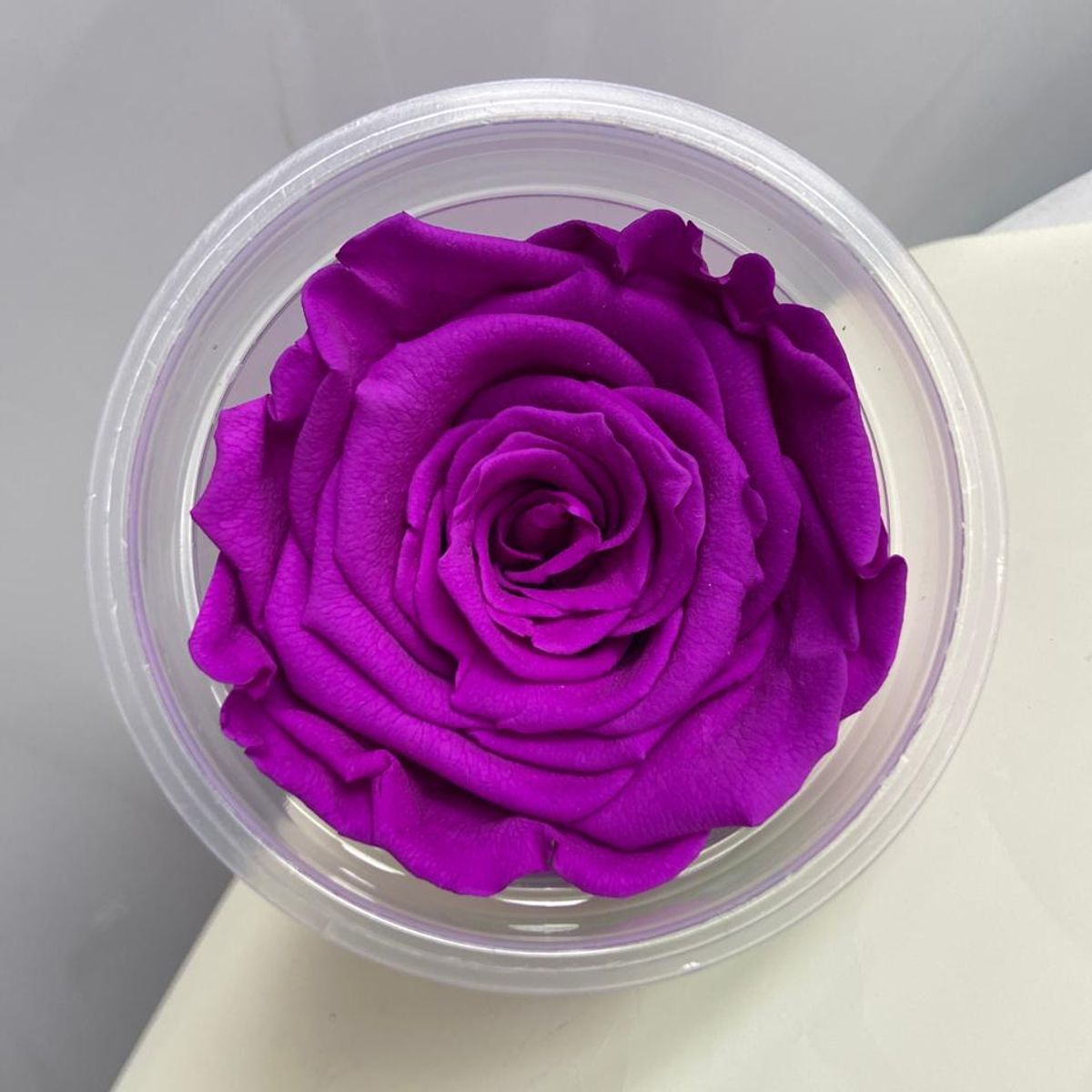 GENERICO - ROSA PRESERVADA PECERA