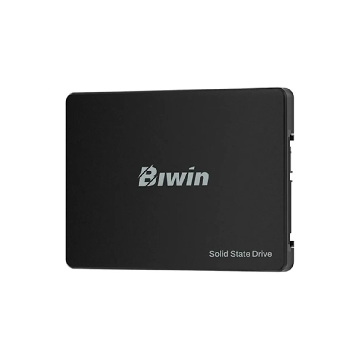 GENERICO - SSD Biwin M100 256GB Disco Sólido 2.5" SATA III para PC y Laptop