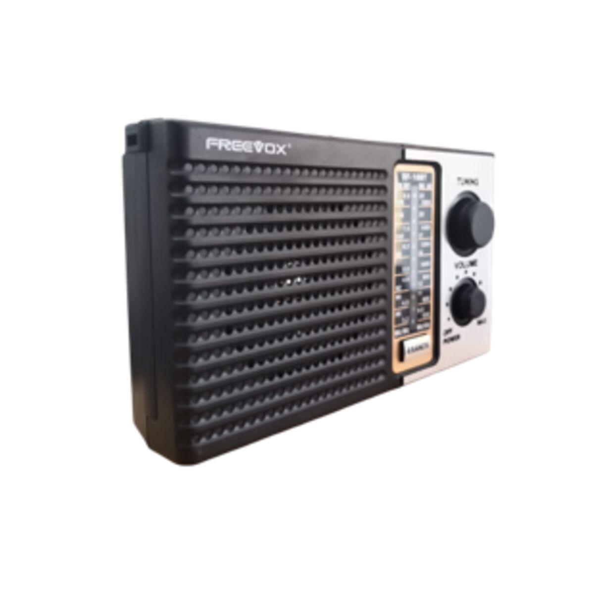 FREEVOX - RADIO PORTATIL FREEVOX A PILAS - RECARGABLE y AC-220V