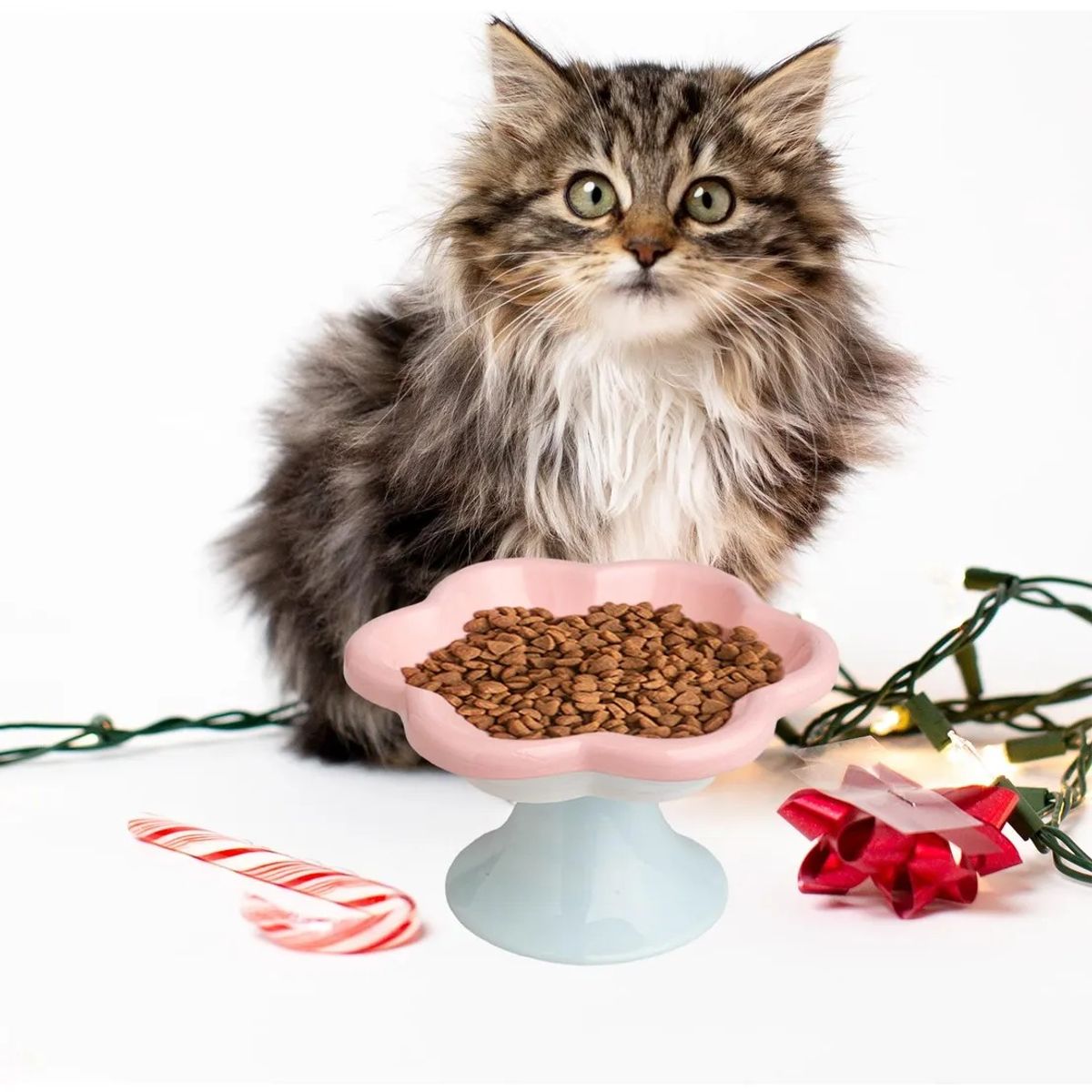 GENERICO - PLATO DE CERÁMICA FLOR - ROSA