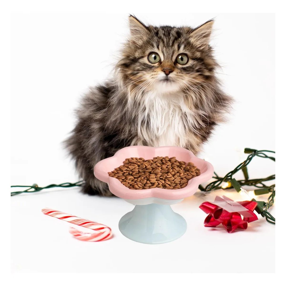 GENERICO - PLATO DE CERÁMICA FLOR - ROSA