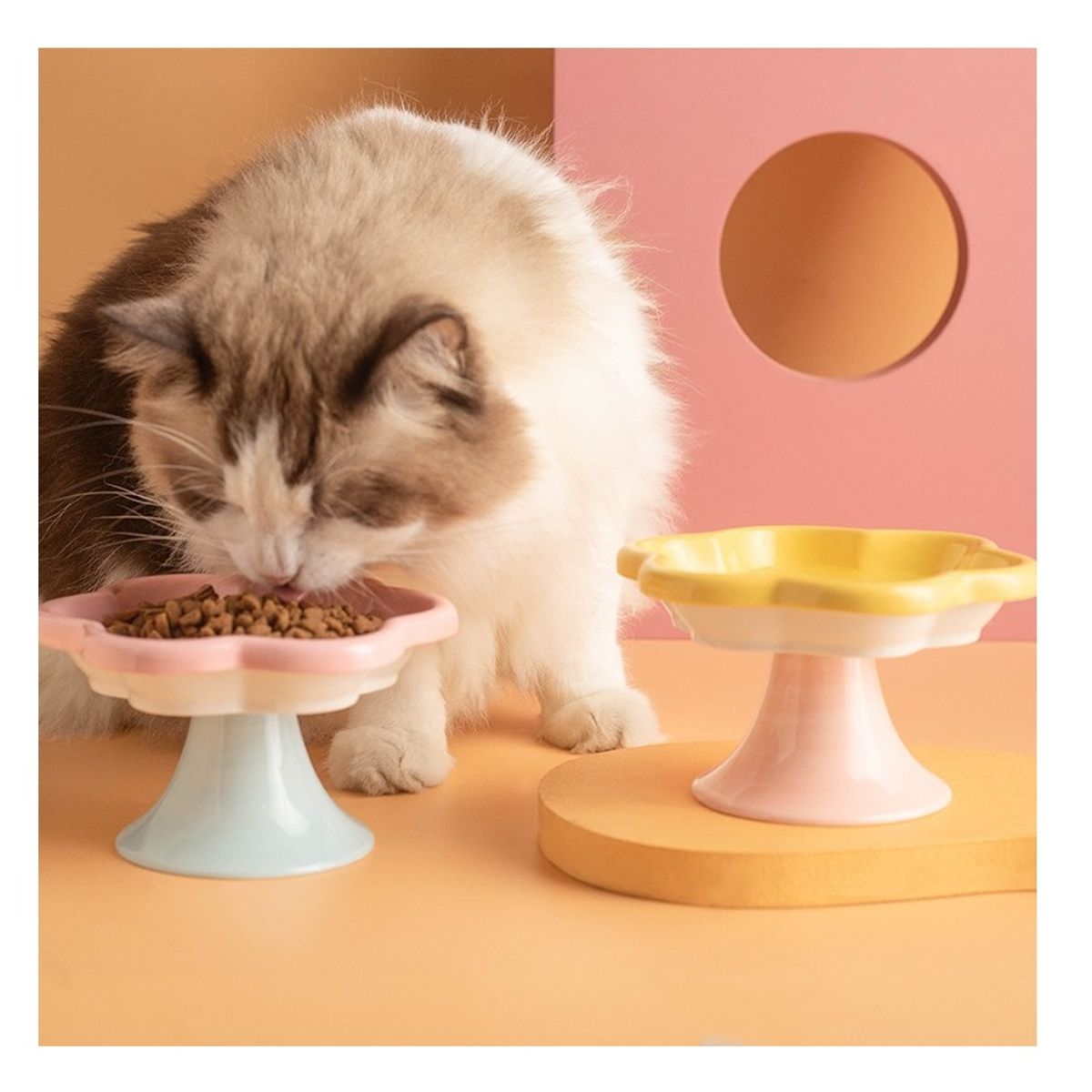 GENERICO - PLATO DE CERÁMICA FLOR - ROSA