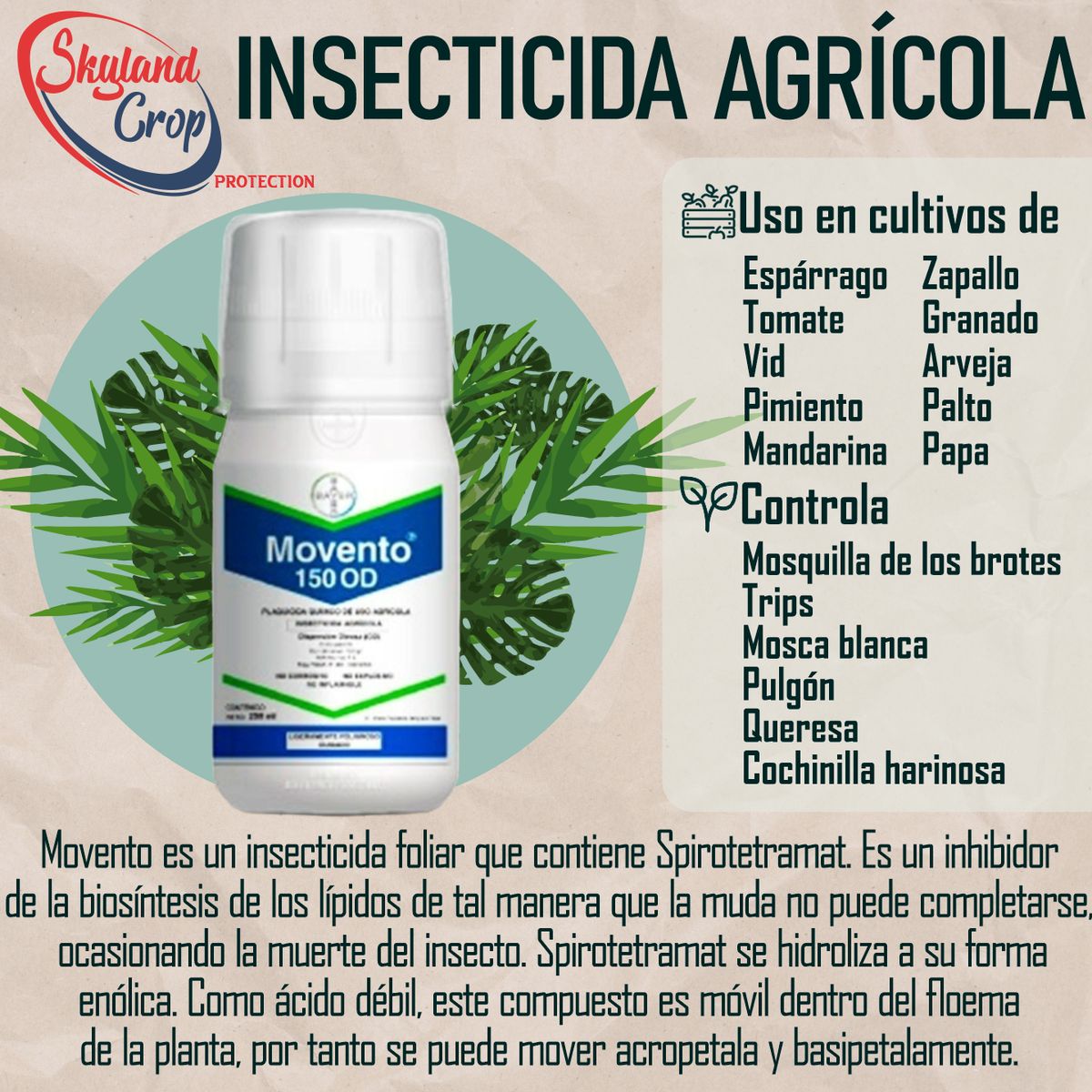 GENERICO - MOVENTO 250ML INSECTICIDA AGRÍCOLA