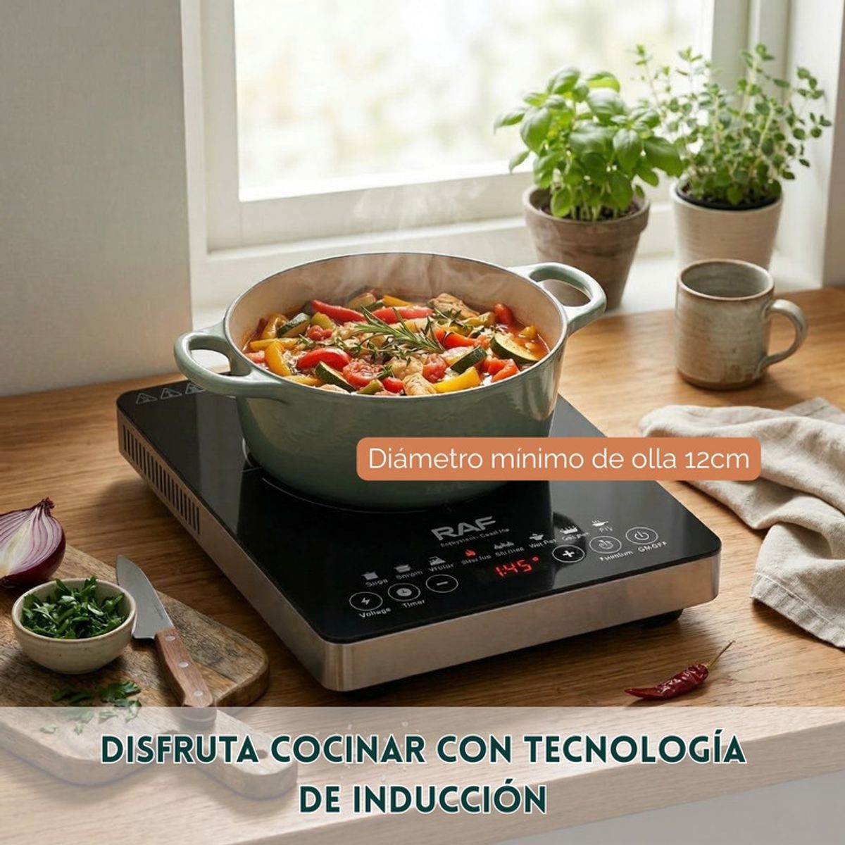 RAFF - Cocina de Inducción Compacta RAF 2200W Control Digital  R.8107