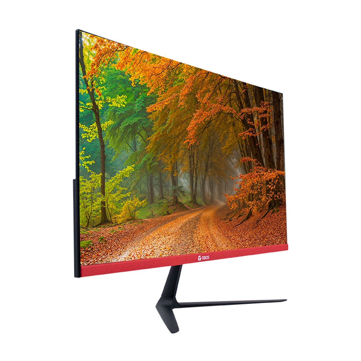 TEROS - Monitor Curvo Teros TE-2403S, 23.8 FHD VA, 144HZ, 1MS, HDMI, DP, Earphone Out