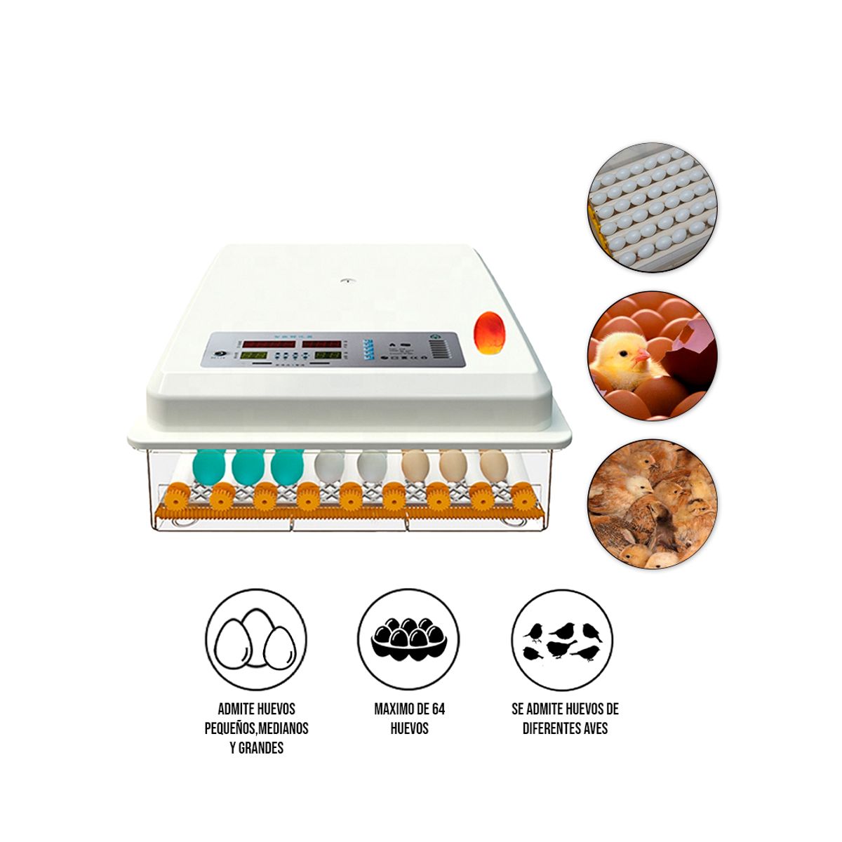 S&T - Incubadora Automática De Plástico Para 64 Huevos