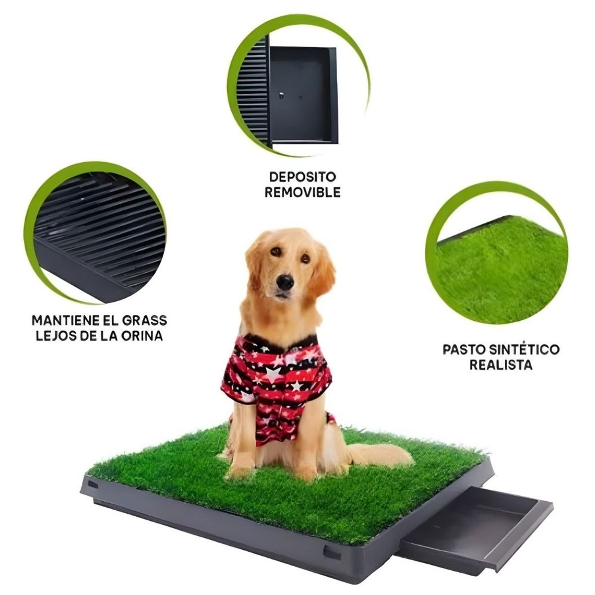 GENERICO - Baño ECOLÓGICO Césped de Entrenamiento Sanitario para Mascotas L