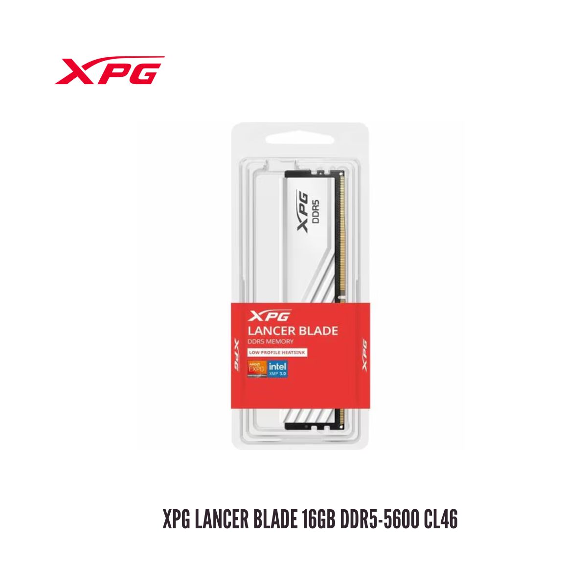 XPG - MEMORIA RAM XPG LANCER BLADE 16GB DDR5-5600 CL46