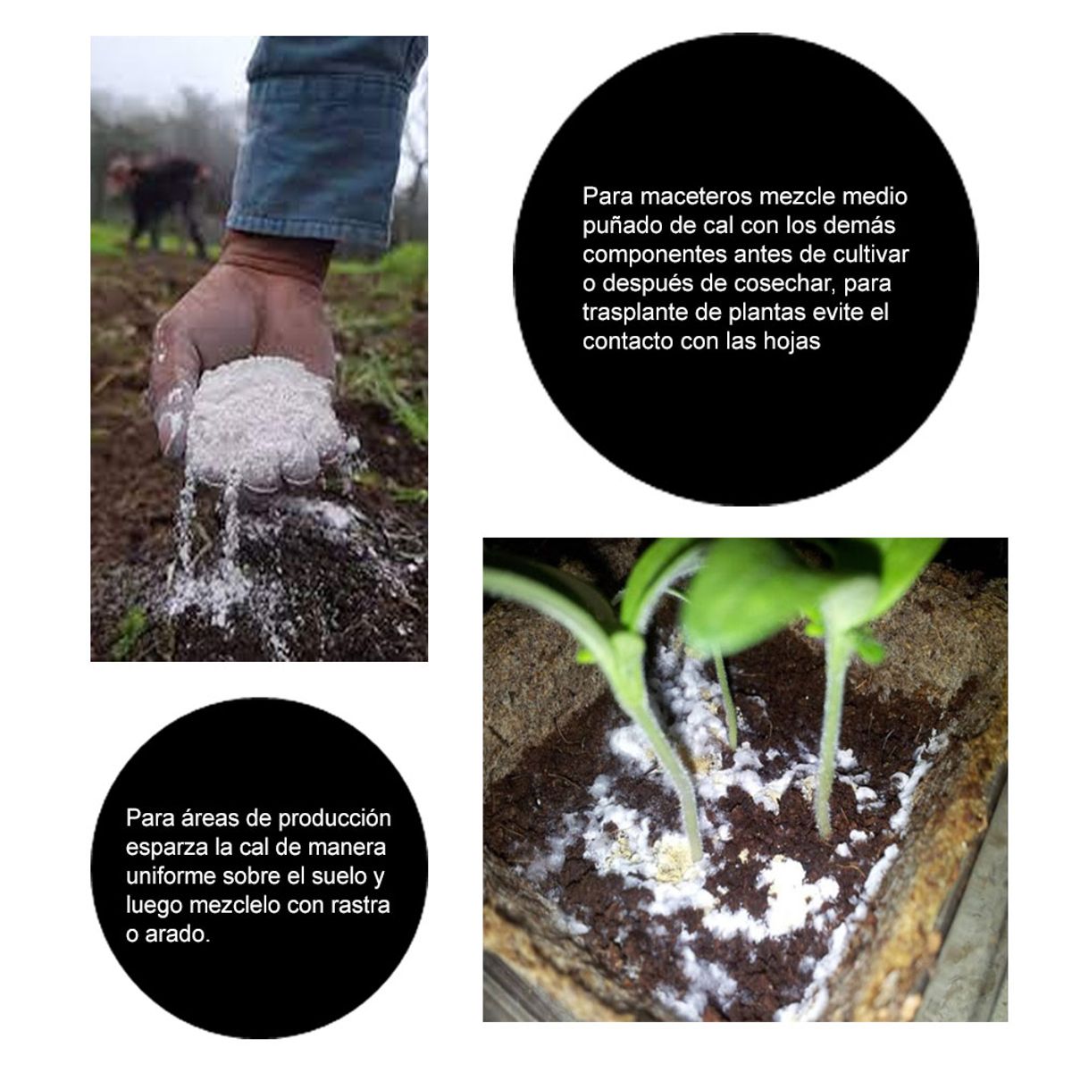 OEM - Cal Agrícola para plantas