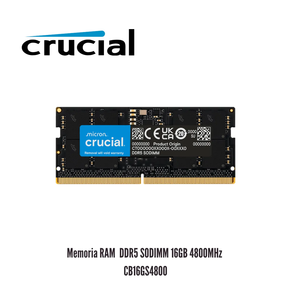 CRUCIAL - Memoria RAM Crucial Basics DDR5 SODIMM 16GB 4800MHz CB16GS4800