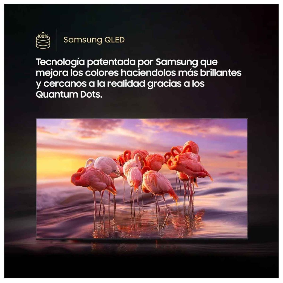 SAMSUNG - Televisor Samsung QLED 55 Smart TV 4K QN55Q6FA 2025