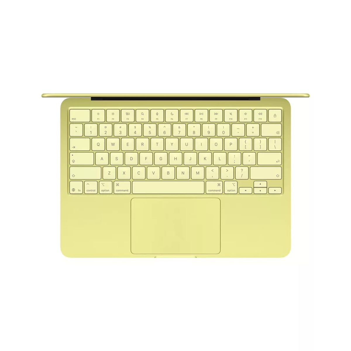 APPLE - MacBook Neo 13 A18 Pro 512GB Touch ID Citrus (English)