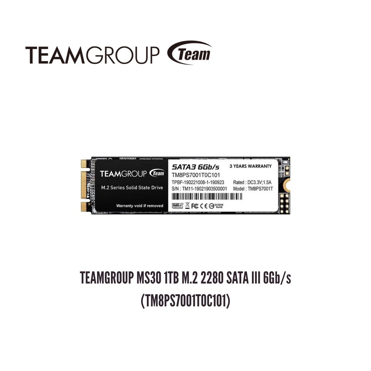TEAMGROUP - Unidad en Estado Sólido TEAMGROUP MS30 1TB M.2 2280 SATA III 6Gb/s