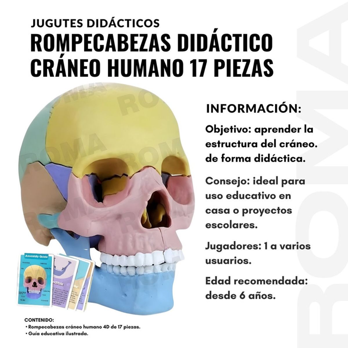 GENERICO - ROMPECABEZAS DIDÁCTICO CRÁNEO HUMANO 17 PIEZAS
